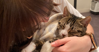 ambre pet sitter à POITIERS 86000_1