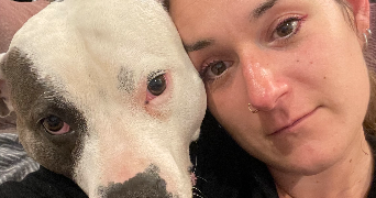 morgane pet sitter à VILLEFRANQUE 65700_0