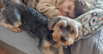 marie pet sitter à BORDEAUX 33800_1