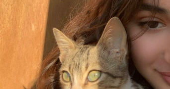 celine pet sitter à ROANNE 42300_0