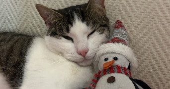 tiphaine pet sitter à PALAISEAU 91120_0