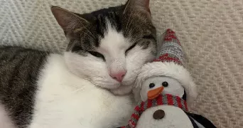 tiphaine pet sitter à PALAISEAU 91120