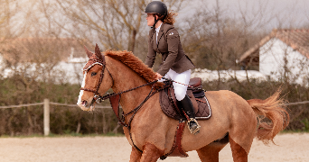 barbara pet sitter à SURZUR 56450_0