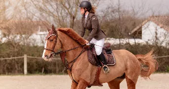 barbara pet sitter à SURZUR 56450