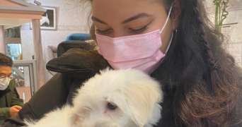 linda pet sitter à MAISONS ALFORT 94700_1