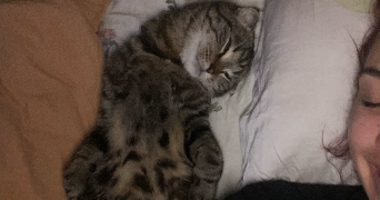 maé pet sitter à Paris 75017_2