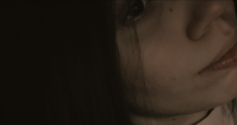 lory pet sitter à GIEN 45500_0