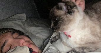 clara pet sitter à BORDEAUX 33000_3