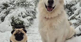 lysiane pet sitter à Ceyrat 63122_1