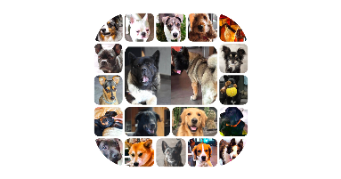 huan dog sitter à FARAMANS 01800_12