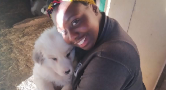 hatou  pet sitter à Nice 06000_0