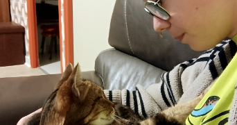 lily pet sitter à PESSAC 33600_2