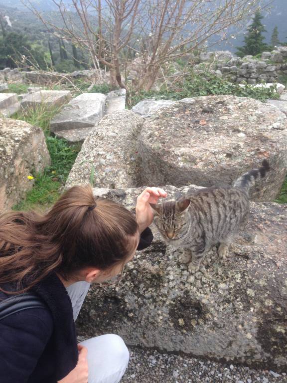 margot pet sitter à Saint Gilles 30800_1