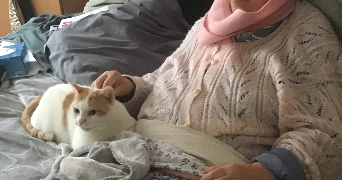 eliane cat sitter à CHARENTON LE PONT 94220_9