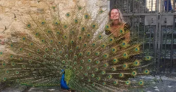 hortense pet sitter à PARIS 19 75019