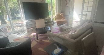 dyala pet sitter à CLAMART 92140_4