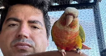 sébastien pet sitter à ARMISSAN 11110