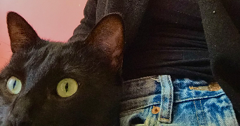 jessica pet sitter à LYON 06 69006_1
