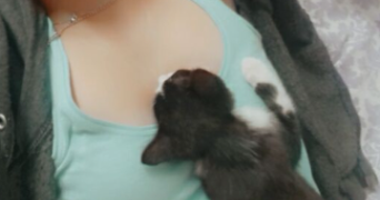 mandy pet sitter à Bourges  18000_2