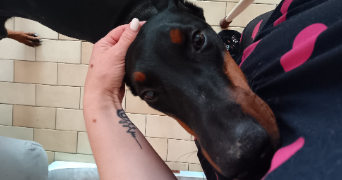 charlene pet sitter à BEZIERS 34500_7