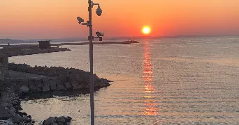 marie pet sitter à CHALIFERT 77144