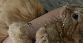sandy pet sitter à ROSNY SOUS BOIS 93110_4