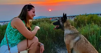 aurelie pet sitter à MEZIRE 90120