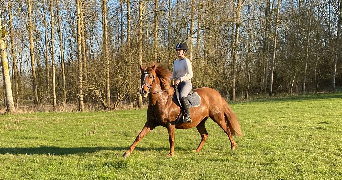 laurine pet sitter à BECON LES GRANITS 49370_5