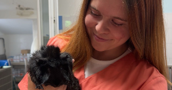 jenny pet sitter à FOS SUR MER 13270_2