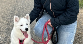 clara pet sitter à GUILLAUCOURT 80170_1