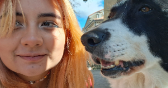 laura pet sitter à CENON 33150_1