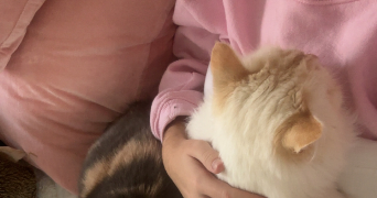 heloise pet sitter à MEGEVE 74120_1