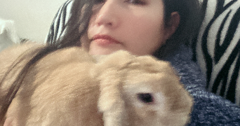 johanna pet sitter à ARGENTEUIL 95100_1