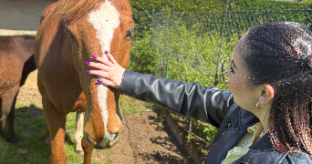 lea pet sitter à BESANCON 25000_1