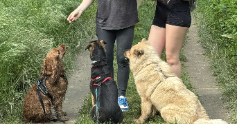 manon pet sitter à ST GENIS LAVAL 69230_2