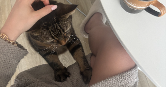 marion pet sitter à Reims 51100_2