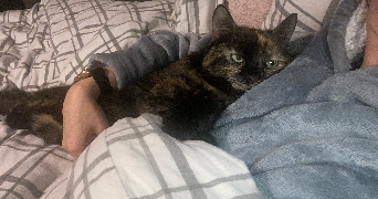 manon pet sitter à HEROUVILLE ST CLAIR 14200_1