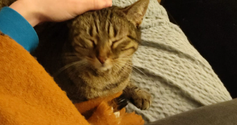 cloé pet sitter à LORIENT 56100_2