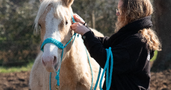 gabrielle pet sitter à LIGNIERES DE TOURAINE 37130_2