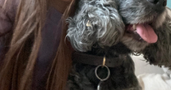 amélie pet sitter à MASSY 91300_3