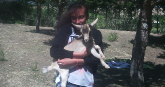 alyssa pet sitter à MONCE EN BELIN 72230_2