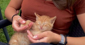 elisa pet sitter à PAU 64000_6