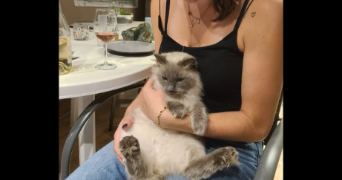 naïs pet sitter à GRENOBLE 38000_1