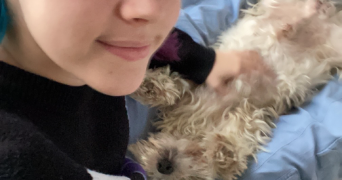 lucie pet sitter à ARLES 13200_3