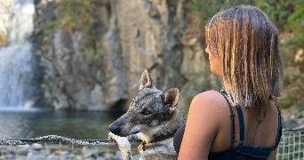 marie pet sitter à PERPIGNAN 66000_2