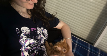 ludivine pet sitter à Noyal chatillon sur seiche 35230_1