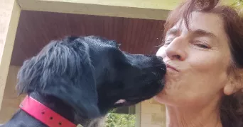 maryse pet sitter à PALLEVILLE 81700