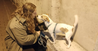 aurore dog sitter à GARNERANS 01140_13