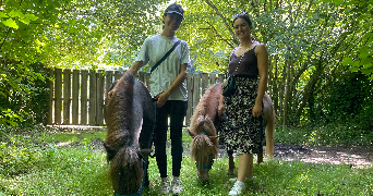 solena pet sitter à VILLEPINTE 93420_4