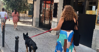 clémence pet sitter à PARIS 07 75007_2